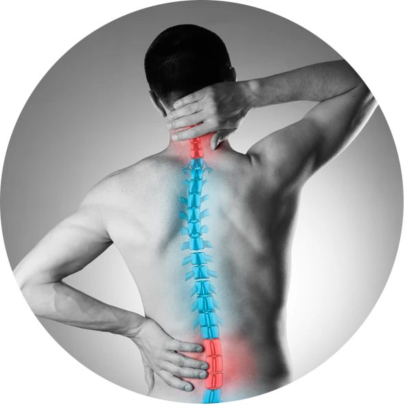 Chiropractic